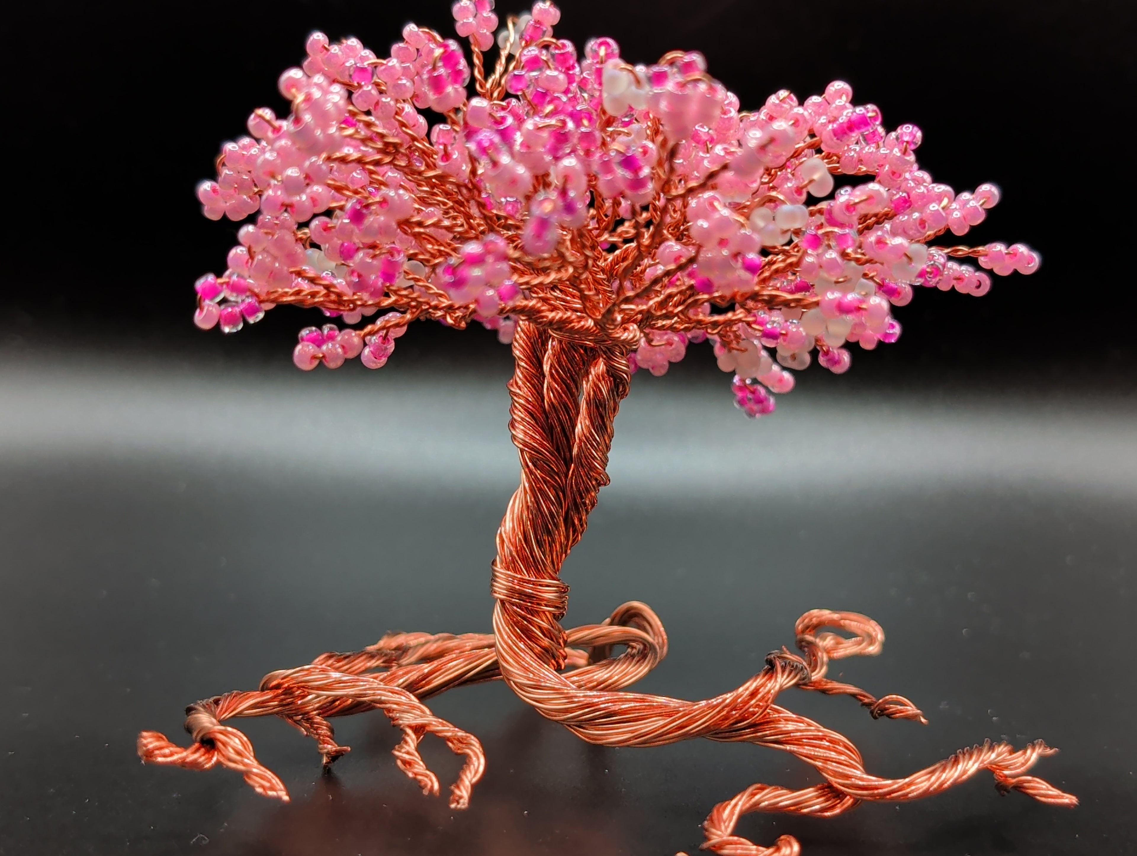 Cherry blossom tree