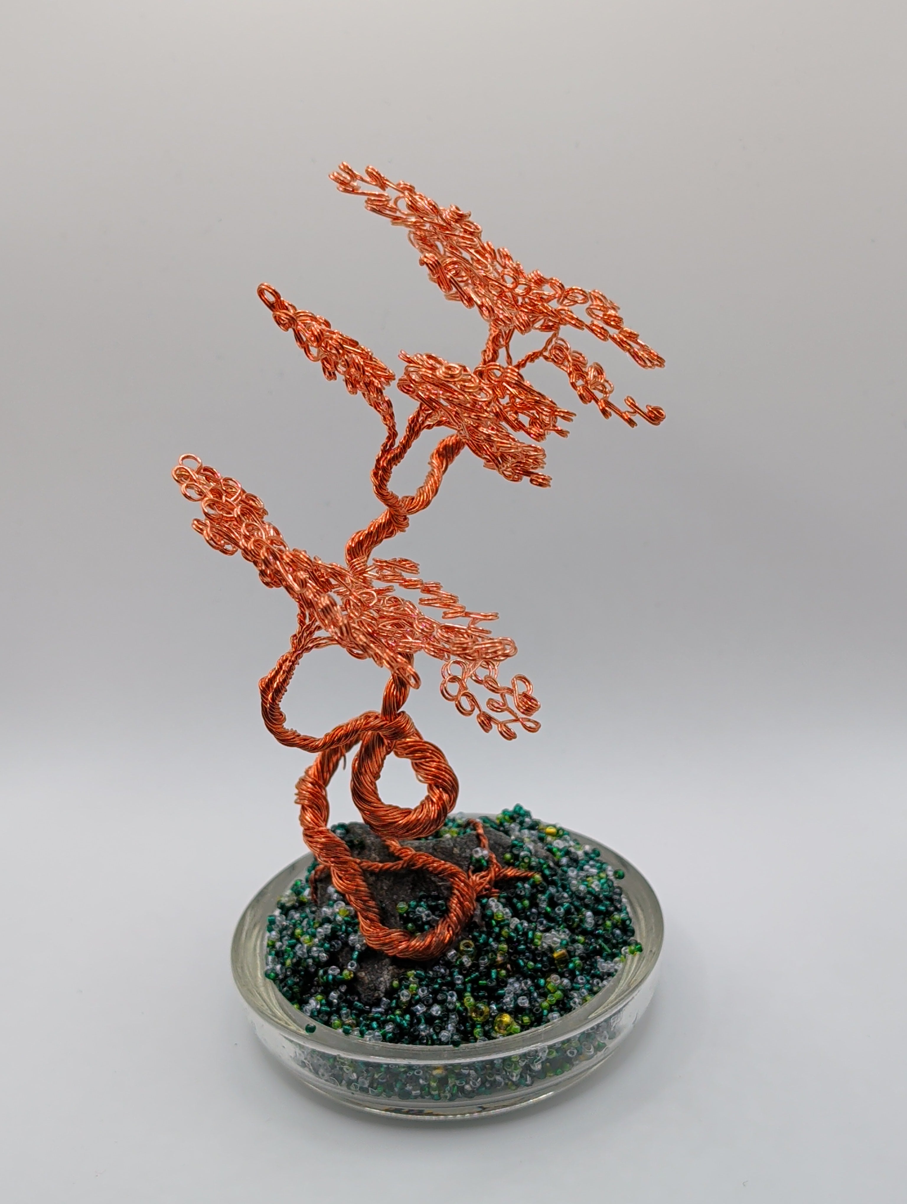 Bonsai and copper2