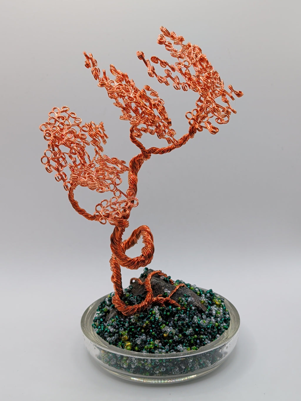 Bonsai and copper2