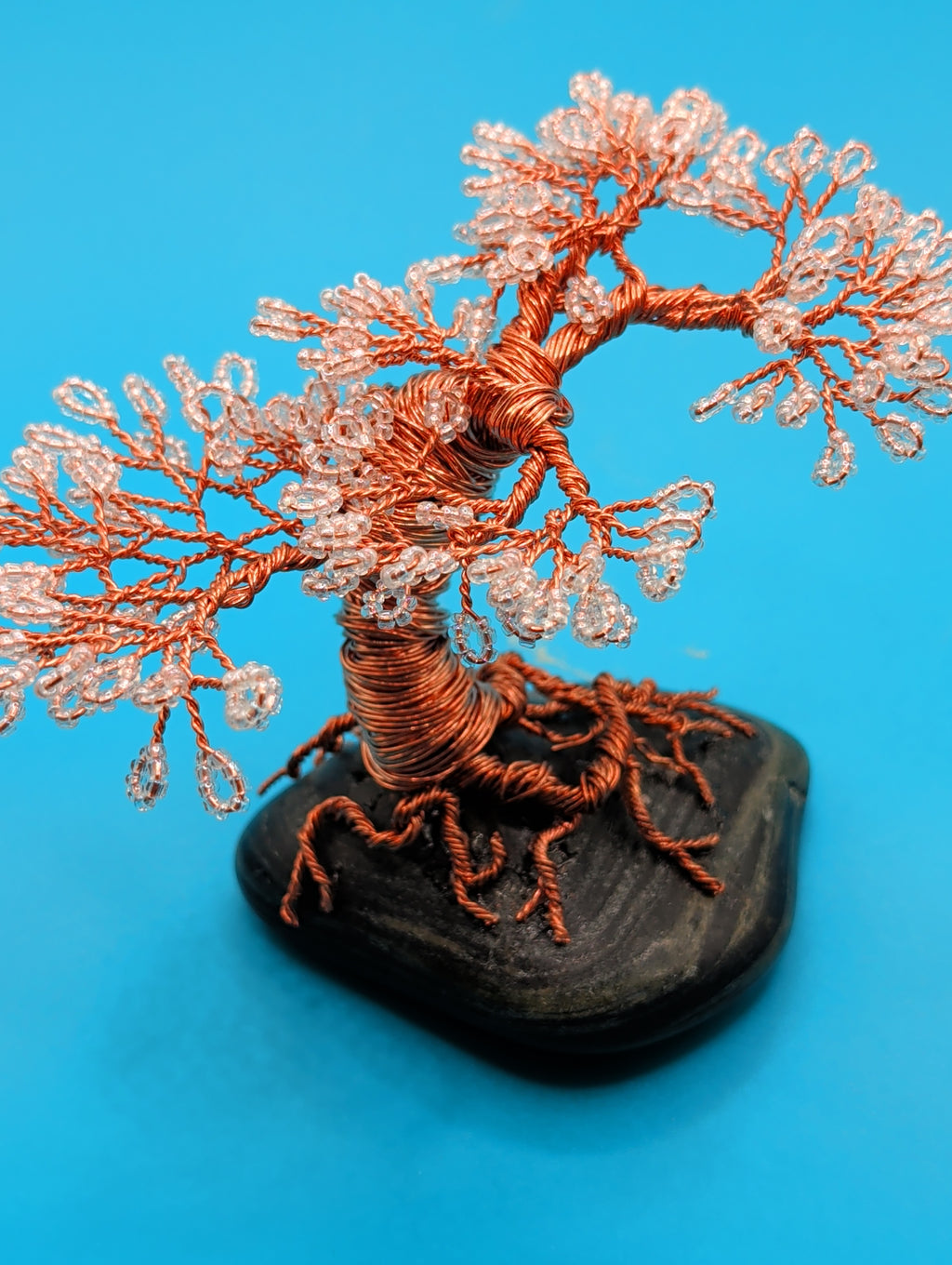 Bonsai blossom