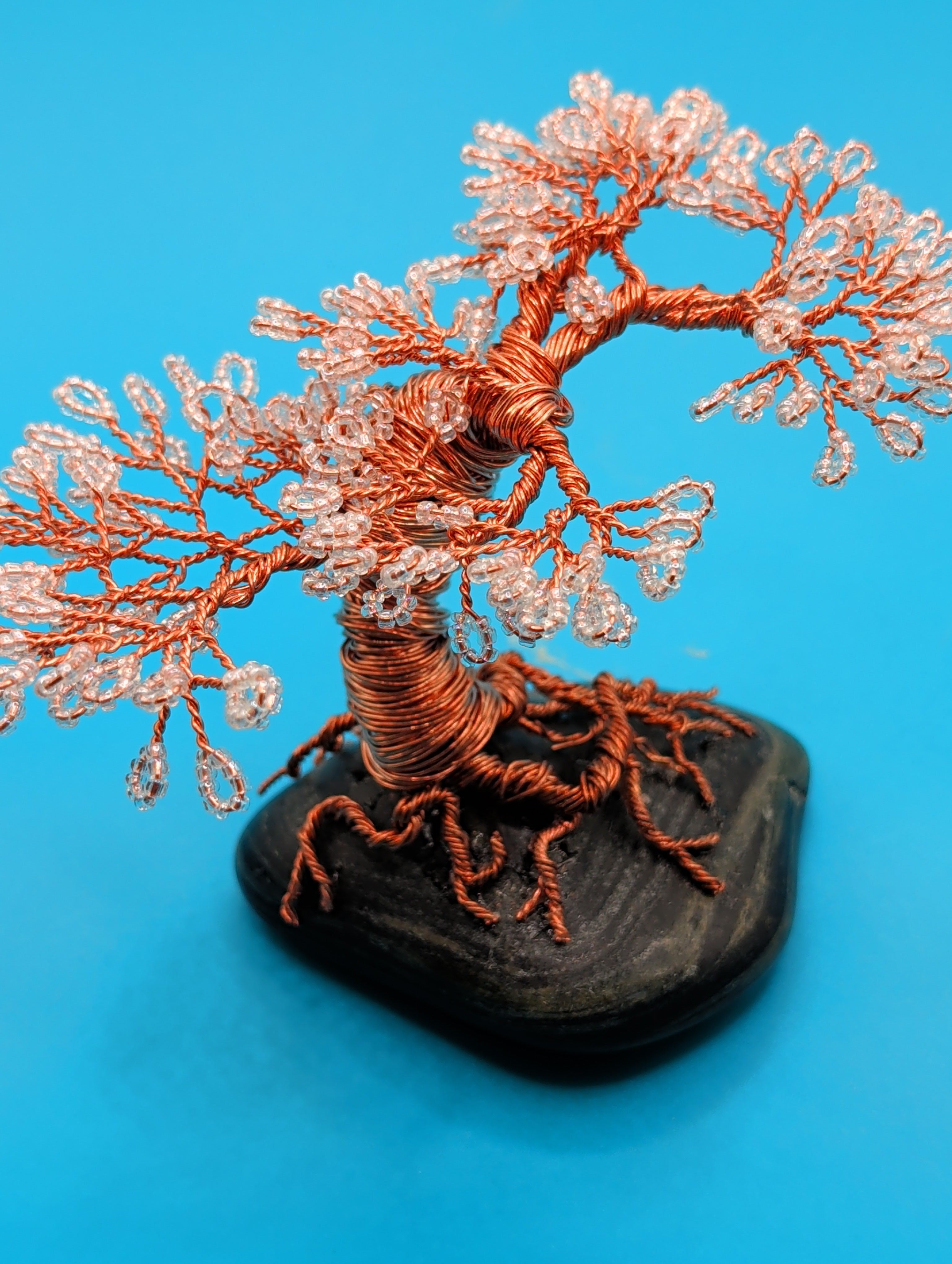 Bonsai blossom