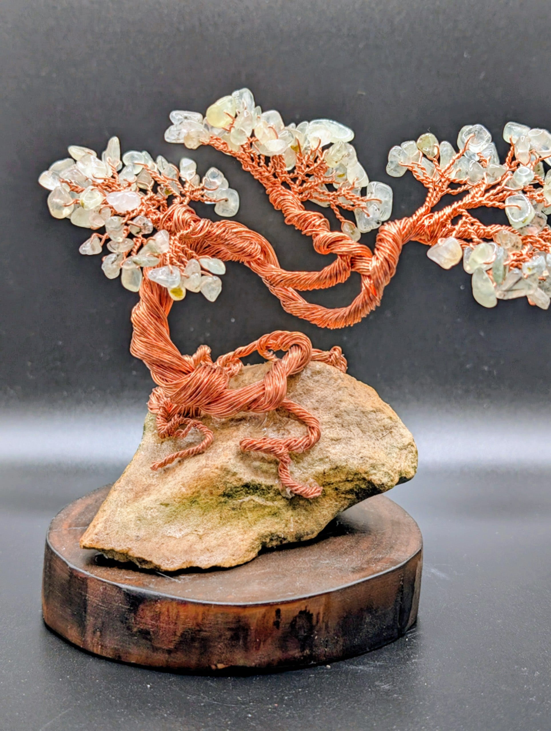 Bonsai tree