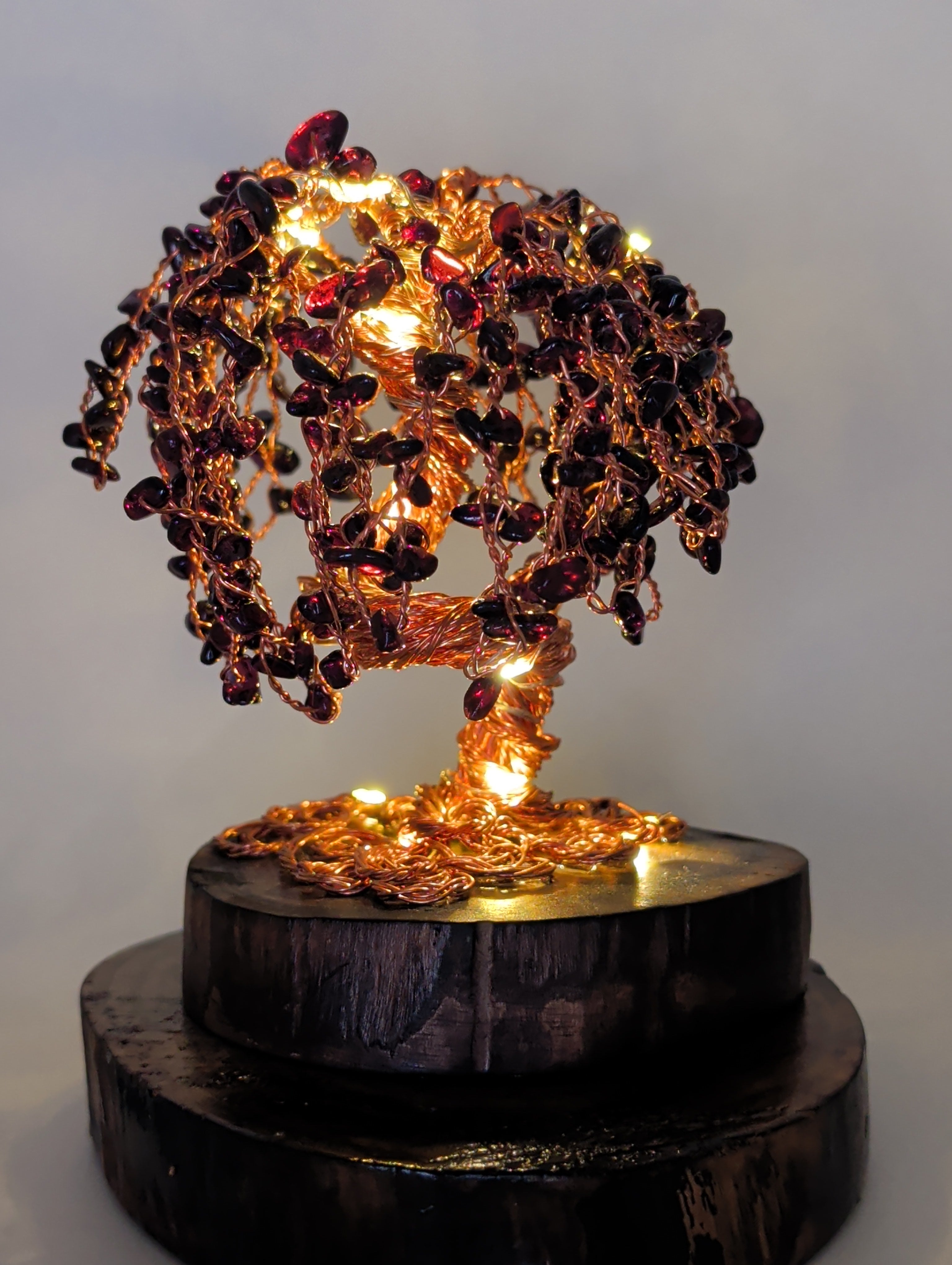 Enchanting Willow by light