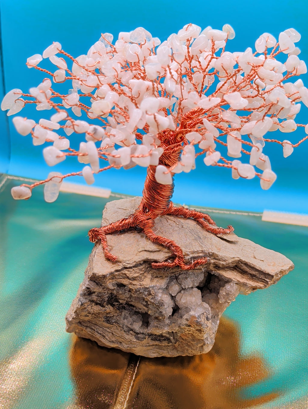 Bonsai tree of life