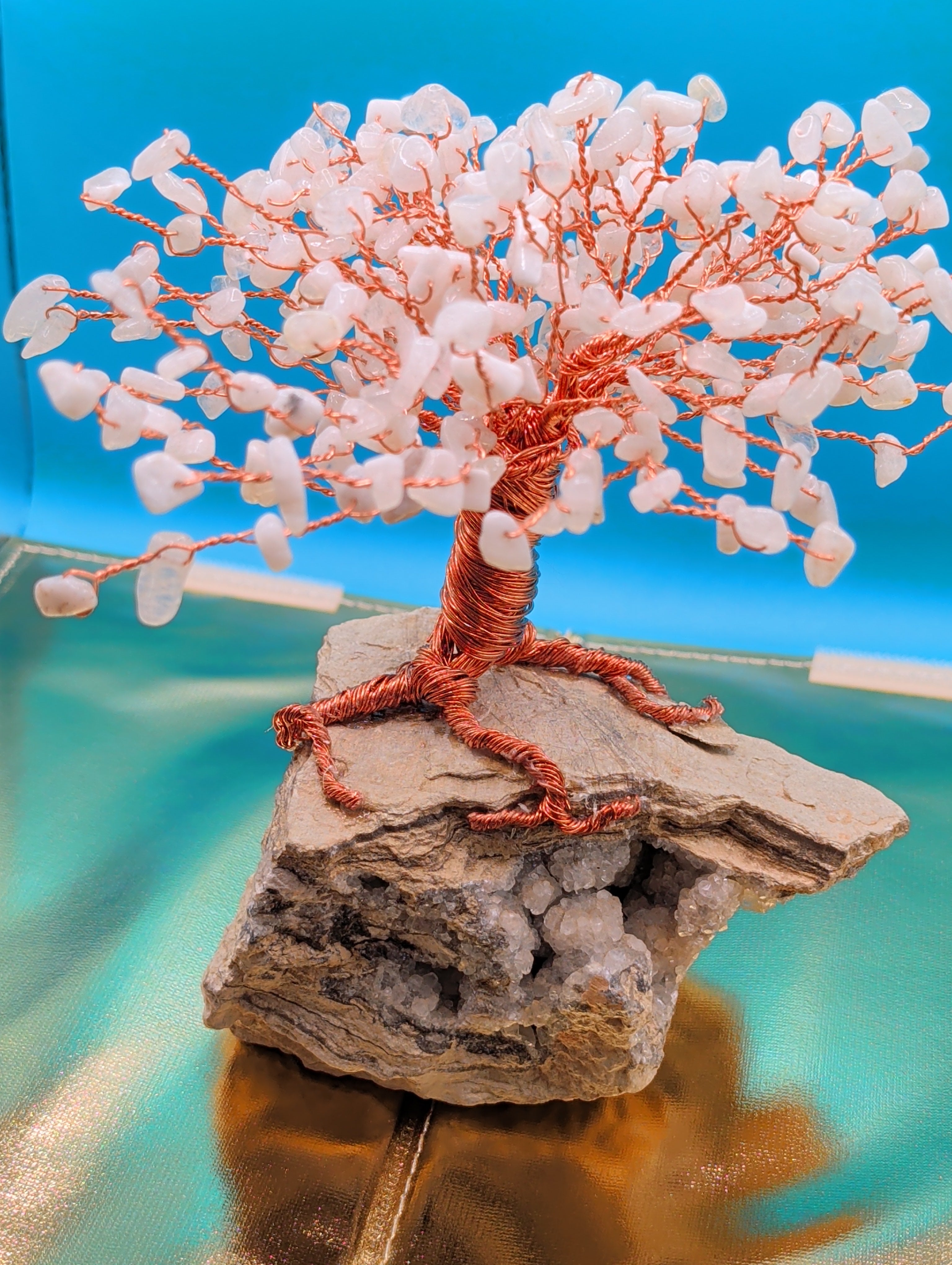 Bonsai tree of life