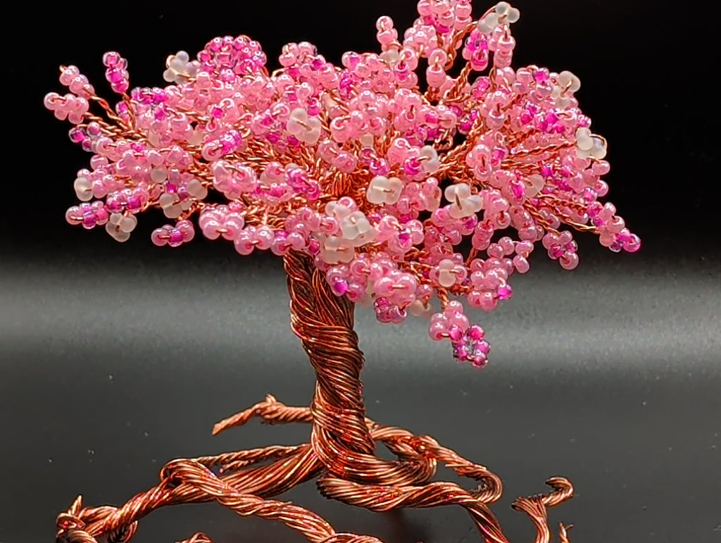 Cherry blossom tree