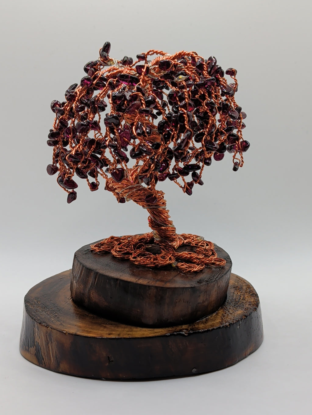 Enchanting Willow by light