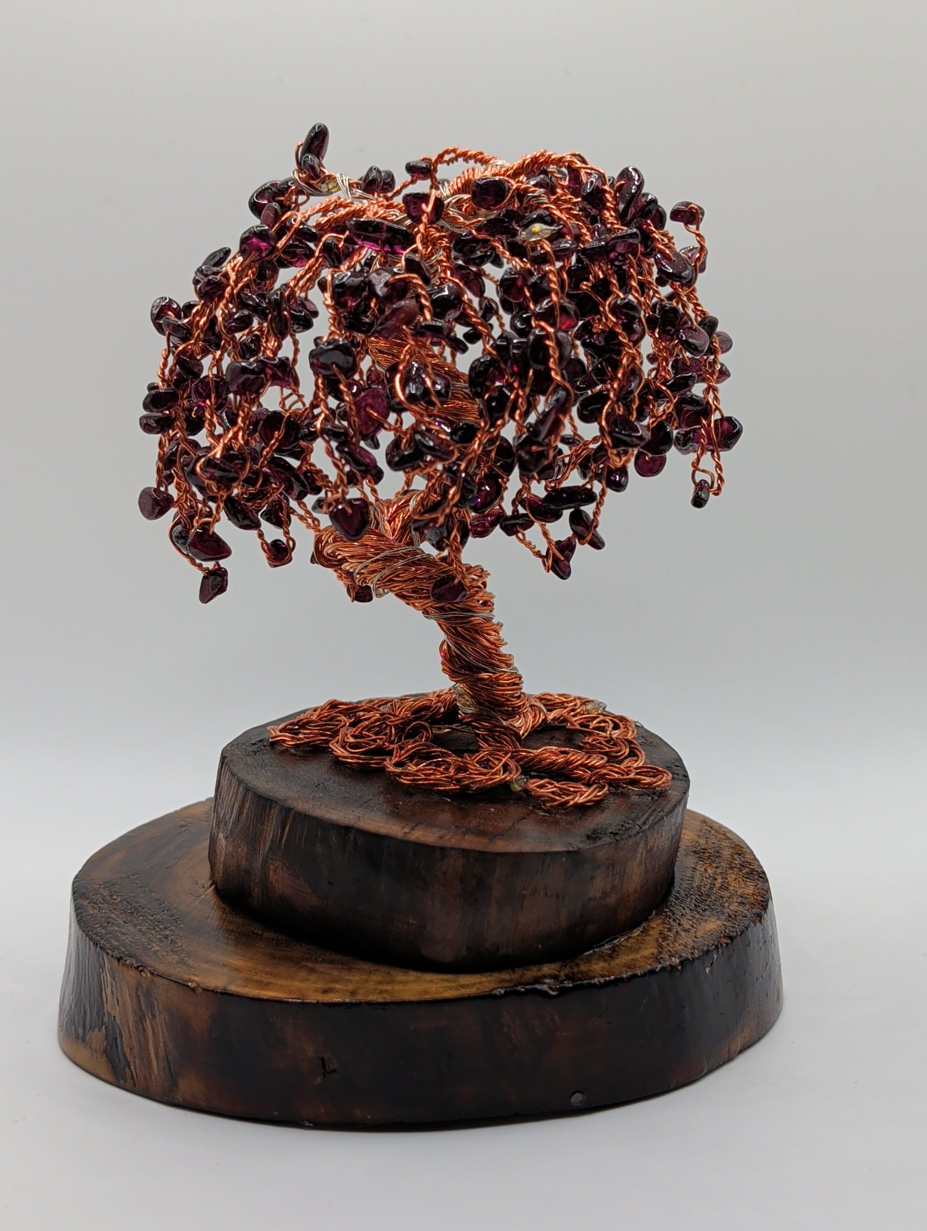 Enchanting Willow by light