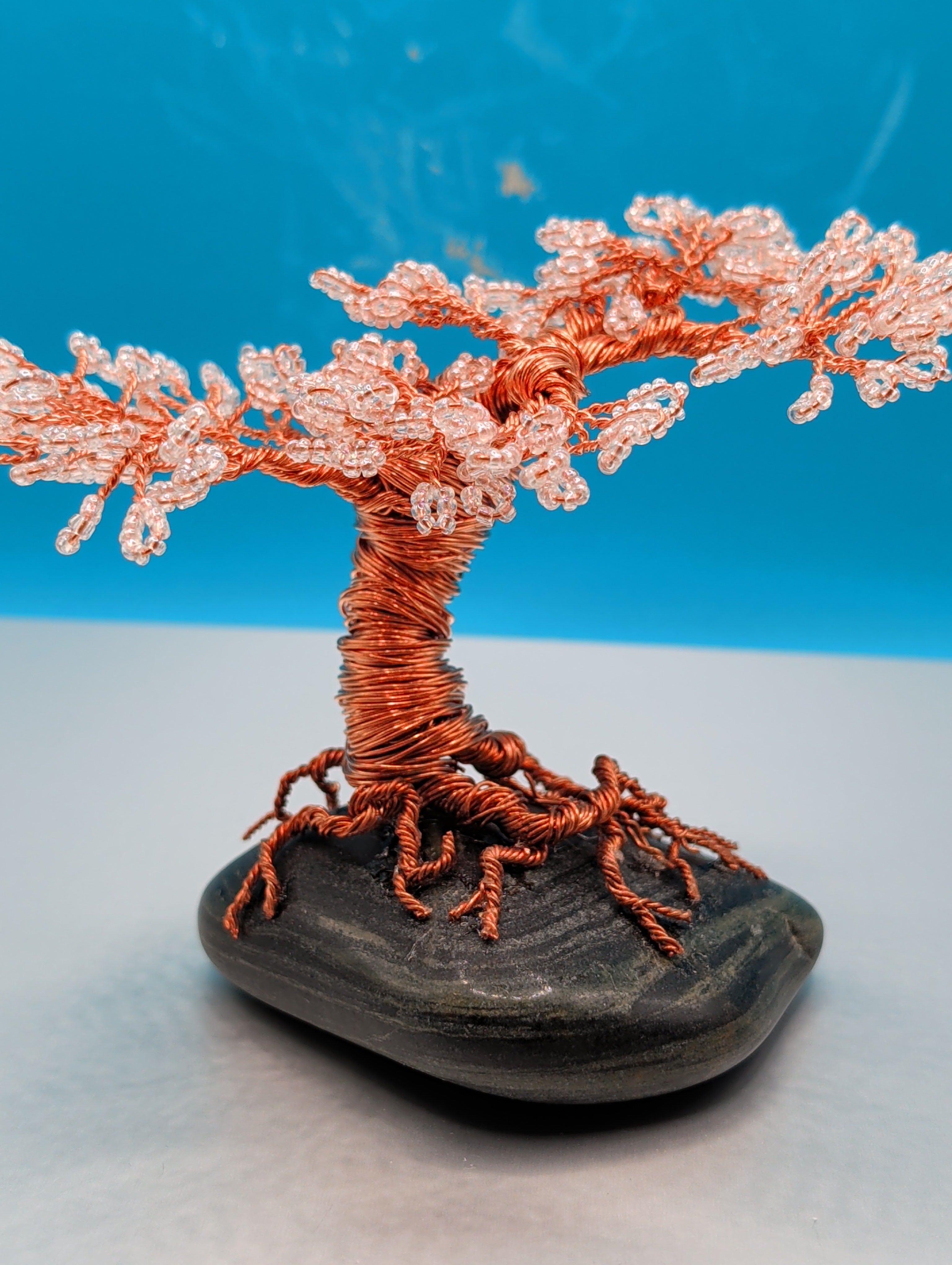 Bonsai blossom