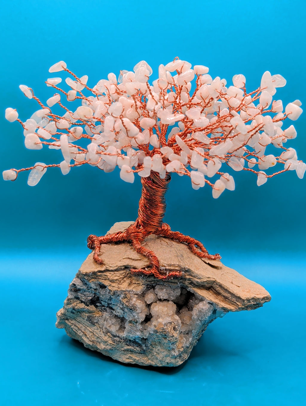 Bonsai tree of life